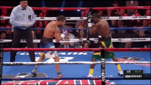 Vasyl Lomachenko