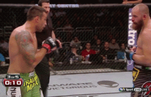 Fabricio Werdum Distracts and Attacks Travis Browne - UFC on Fox 11