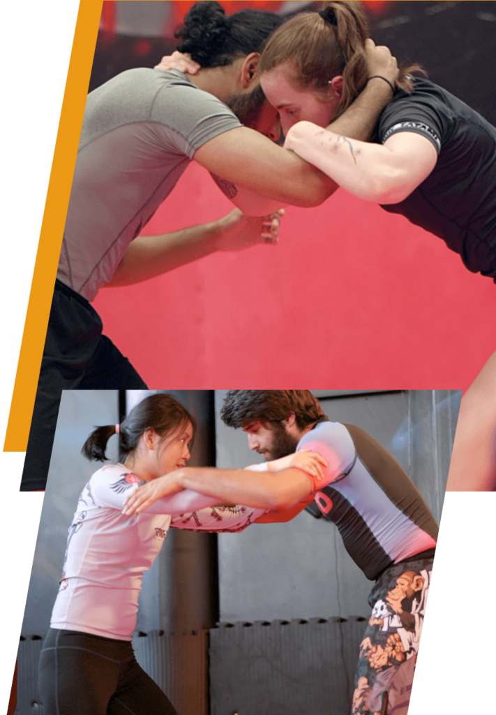 Wrestling Diesel Gym